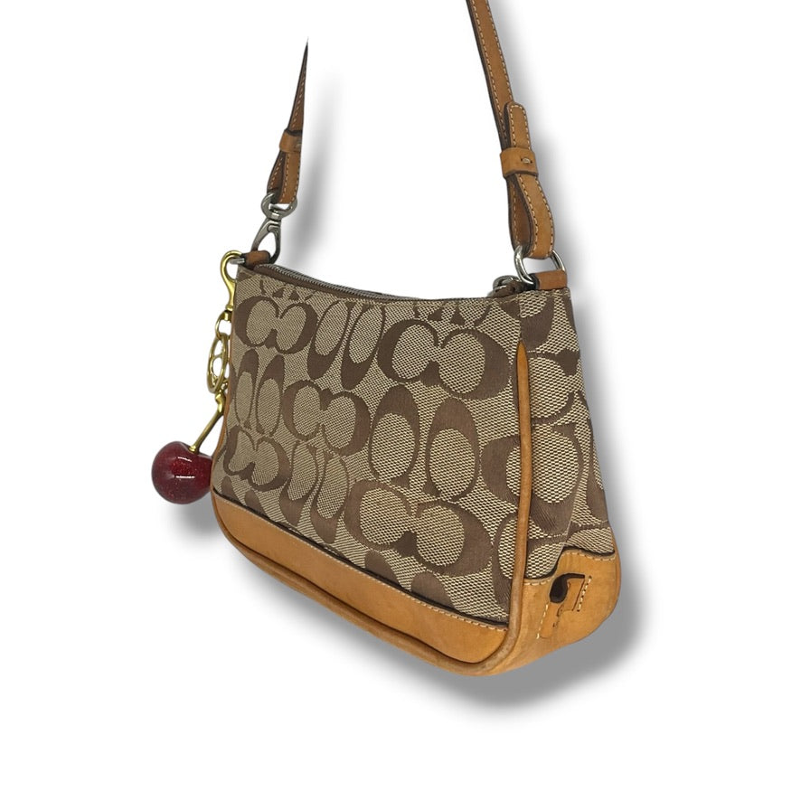 Vintage COACH accessory pouch bag 6094