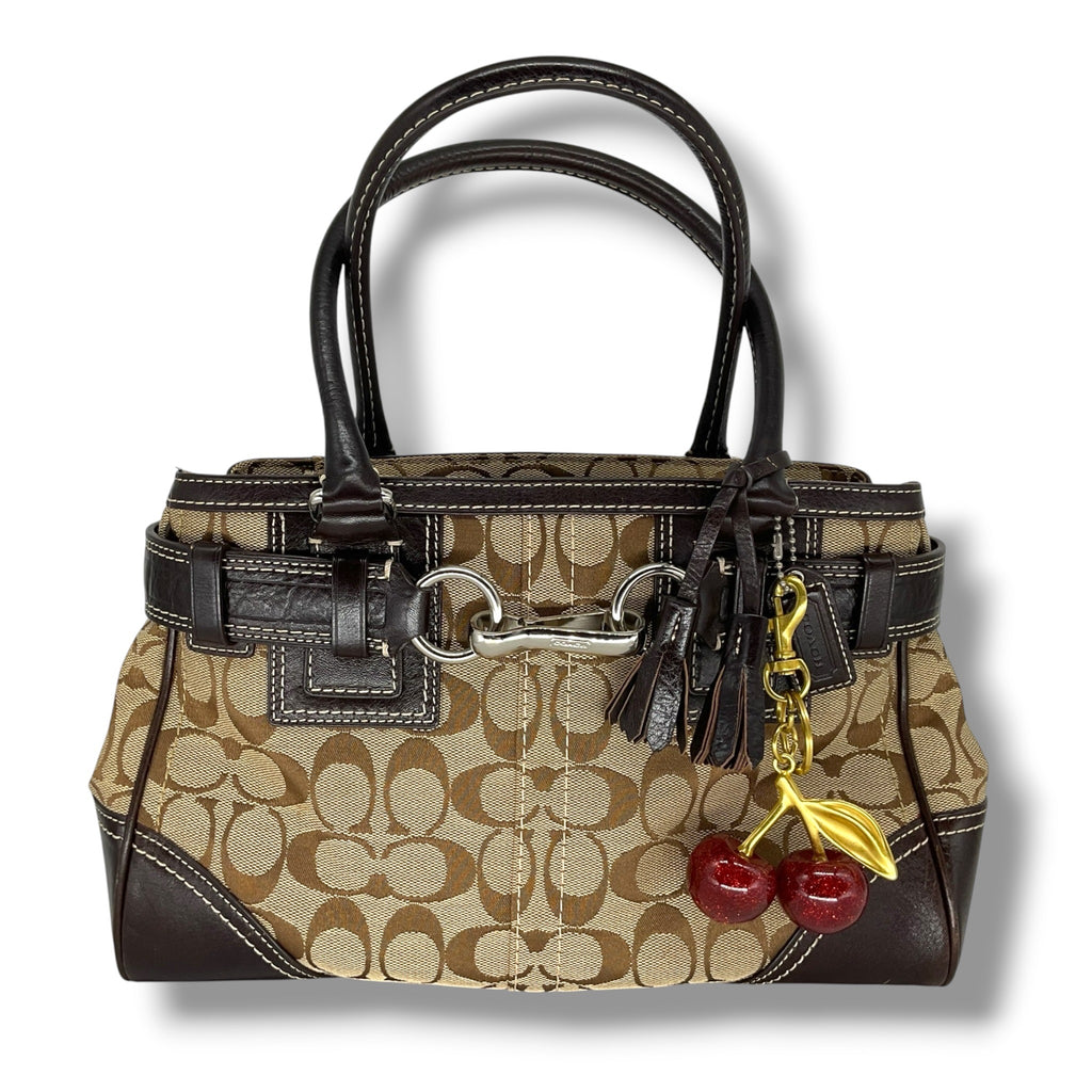 Vintage COACH signature handbag